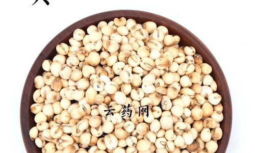 金樱子的药用与功效网 | 金樱子的功效与作用与主治,金樱子功效作用与主治功能